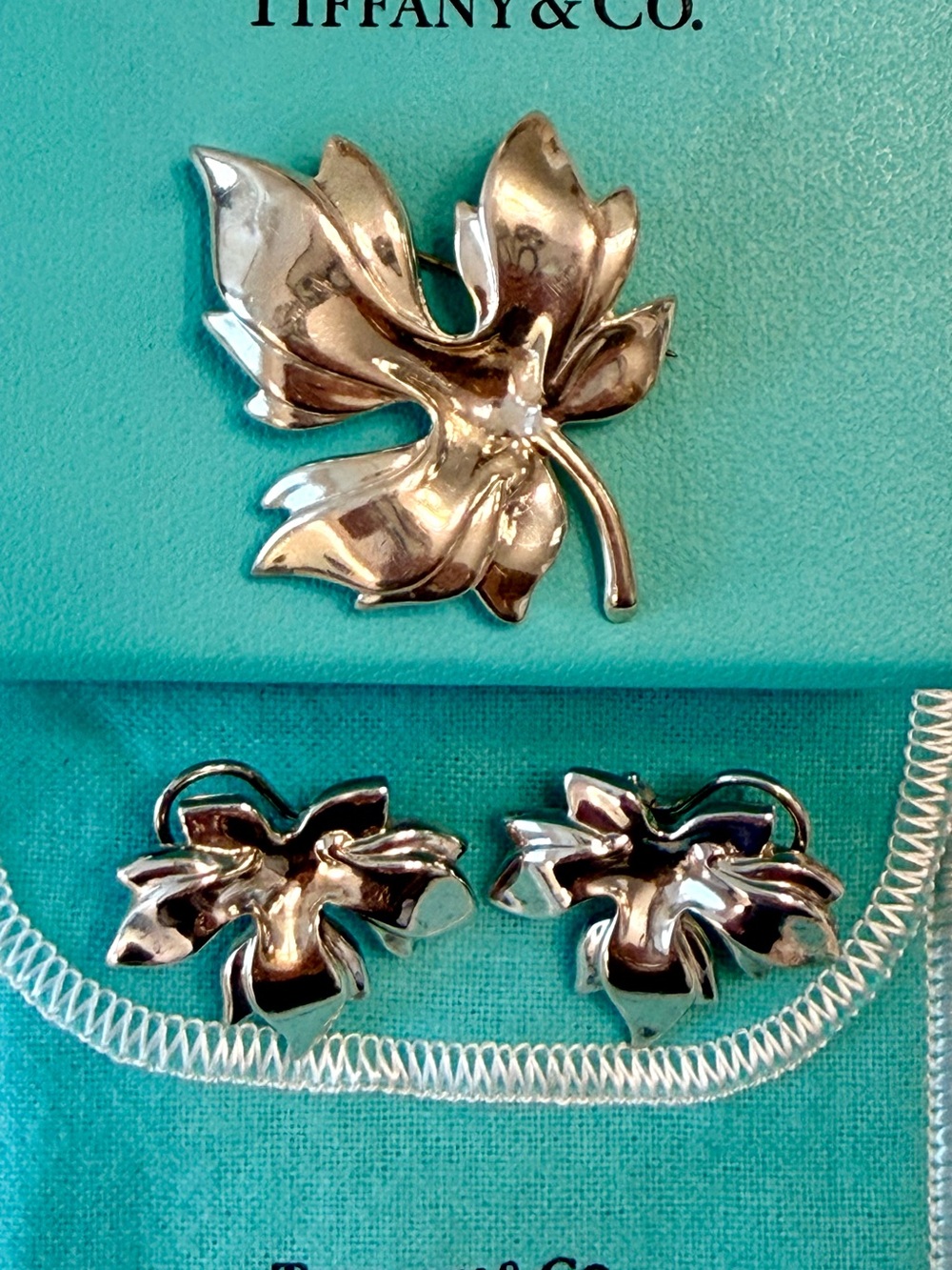 Tiffany & Co. Silver Leaf Brooch and Earrings Set - Silver